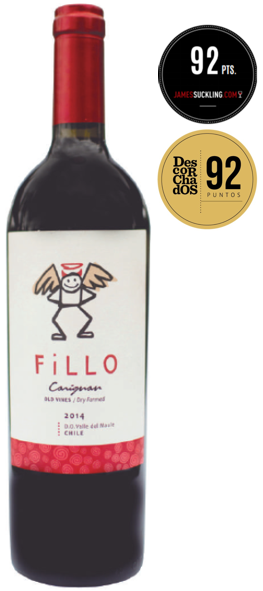 Fillo Carignan de BOWines - Valle del Maule, Chile