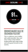 Puntaje del Fillo Malbec de BOWines - Valle de Colchagua, Chile