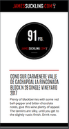 James Suckling 91 puntos Cono Sur Carménère Single Vinyard