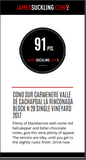 James Suckling 91 puntos Cono Sur Carménère Single Vinyard