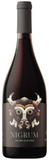 Vino tinto mexicano Nigrum de Bodegas Origen, Aguascalientes