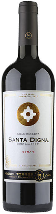 Vino tinto chileno Santa Digna Syrah